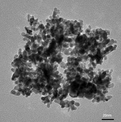 Hạt nano bạch kim 10nm
