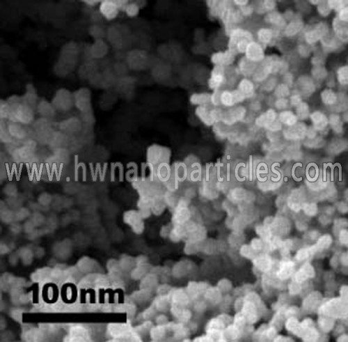 SEM Nanoparticle Palladium