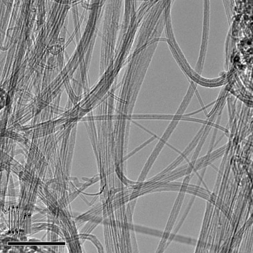 SWCNTs Yagona devorli uglerod nanotube